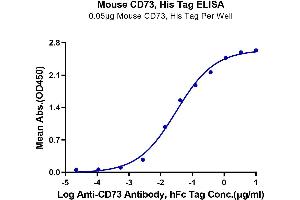 Immobilized Mouse CD73, His Tag at 0. (CD73 Protein (AA 29-549) (His tag))