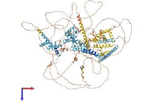 SNAPC4 Protein (AA 1-1333) (His tag)