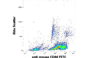 Flow cytometry surface staining pattern of murine splenocyte suspension stained using anti-mouse CD86 (GL-1) FITC antibody (concentration in sample 0,33 μg/mL).