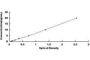 Superoxide Dismutases ELISA Kit