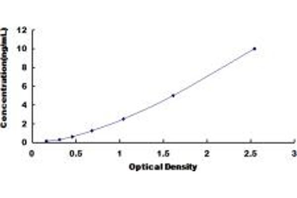 TRPV2 ELISA Kit