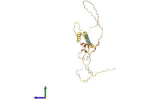 AlphaFold protein structure predicition of Human Recombinant MDFI Protein, UniprotID Q99750 (MDFI Protein (AA 1-246) (His tag))
