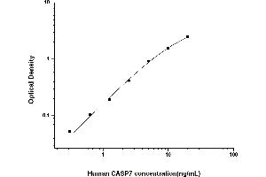 Typical standard curve (Caspase 7 ELISA Kit)