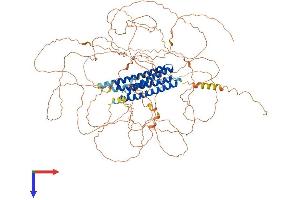 AlphaFold protein structure predicition of Mouse Recombinant Meioc Protein, UniprotID A2AG06