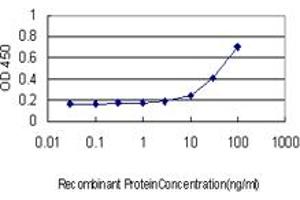 Detection limit for recombinant GST tagged SMPD2 is approximately 10ng/ml as a capture antibody. (SMPD2 antibody  (AA 1-423))