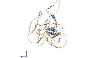 Protein Structure (PS) image for F-Box Protein 46 (FBXO46) (AA 1-603) protein (His tag) (ABIN7547602)