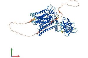 AlphaFold protein structure predicition of Mouse Recombinant Pomt2 Protein, UniprotID Q8BGQ4 (POMT2 Protein (AA 1-820) (His tag))