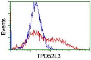 HEK293T cells transfected with either RC205471 overexpress plasmid (Red) or empty vector control plasmid (Blue) were immunostained by anti-TPD52L3 antibody (ABIN2455917), and then analyzed by flow cytometry. (TPD52L3 antibody)