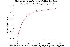 ELISA image for Transferrin Receptor (p90, CD71) (TFRC) (AA 89-760) (Active) protein (AVI tag,His tag,Biotin) (ABIN6973288)