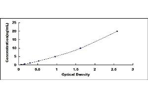 Typical standard curve (DDIT3 ELISA Kit)