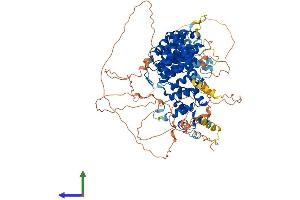 Protein Structure (PS) image for SAPS Domain Family, Member 1 (SAPS1) (AA 1-856) protein (His tag) (ABIN7564217)