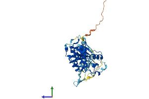 AlphaFold protein structure predicition of Mouse Recombinant Cdk10 Protein, UniprotID Q3UMM4 (CDK10 Protein (AA 1-360) (His tag))