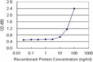 Sandwich ELISA detection sensitivity ranging from 10 ng/mL to 100 ng/mL. (ANXA4 (Human) Matched Antibody Pair)