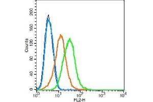 RSC96 probed with Tyrosine Hydroxylase Polyclonal Antibody, Unconjugated  at 6ug for 30 minutes followed by incubation with a conjugated secondary -PE) (green) for 30 minutes compared to control cells (blue), secondary only (light blue) and isotype control (orange).