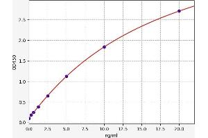 Typical standard curve (SIRT3 ELISA Kit)