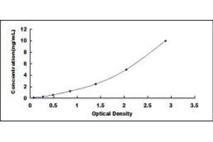 Typical standard curve (FASL ELISA Kit)