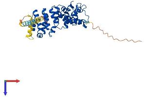 Chromosome 6 Open Reading Frame 81 (C6orf81) (AA 1-340) protein (His tag)