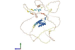 AlphaFold protein structure predicition of Mouse Recombinant Hlx Protein, UniprotID Q61670