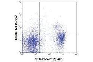 Flow Cytometry (FACS) image for anti-Chemokine (C-X-C Motif) Receptor 3 (CXCR3) antibody (PE-Cy7) (ABIN2659446) (CXCR3 antibody  (PE-Cy7))