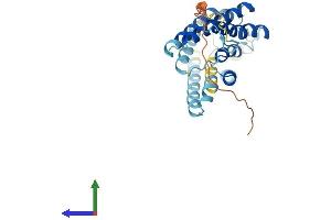 AlphaFold protein structure predicition of Human Recombinant AQP12B Protein, UniprotID A6NM10 (Aquaporin 12B Protein (AQP12B) (AA 1-295) (His tag))