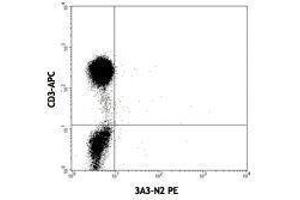 Flow Cytometry (FACS) image for anti-Interleukin 21 (IL21) antibody (PE) (ABIN2663779) (IL-21 antibody  (PE))