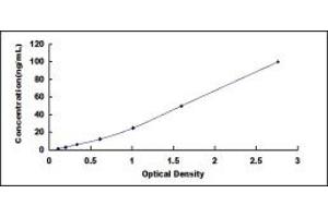 GSTT1 ELISA Kit