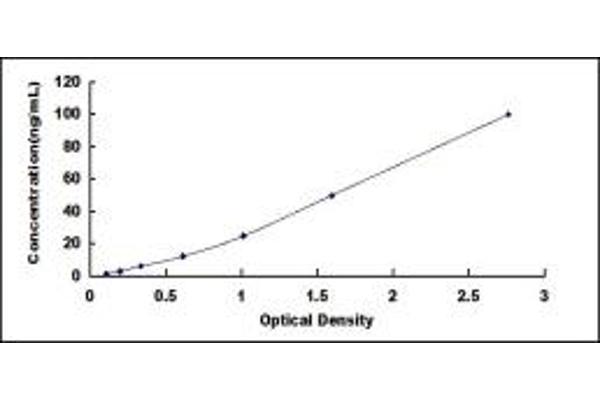 GSTT1 ELISA Kit