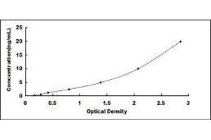 Typical standard curve (Caspase 1 ELISA Kit)