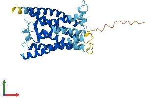 AlphaFold protein structure predicition of Mouse Recombinant Mrgprg Protein, UniprotID Q91ZB5 (Mrgprg Protein (AA 1-289) (His tag))