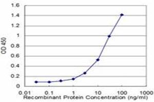 Detection limit for recombinant GST tagged MEF2BNB is approximately 1ng/ml as a capture antibody. (MEF2BNB antibody  (AA 1-109))