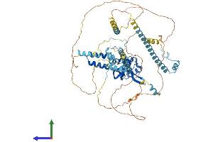AlphaFold protein structure predicition of Human Recombinant RTF1 Protein, UniprotID Q92541