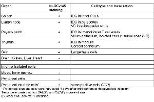 Table 1. (LY75/DEC-205 antibody  (FITC))