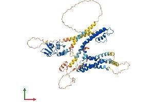 AlphaFold protein structure predicition of Human Recombinant KCNA4 Protein, UniprotID P22459 (Kv1.4 Protein (AA 1-653) (His tag))