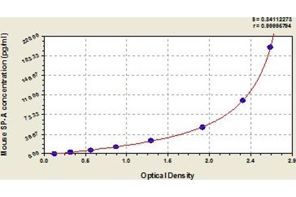 Surfactant Protein A1 ELISA Kit