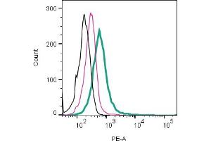 Cell surface detection of PTGER2 by direct flow cytometry in live intact human  monocytic leukemia cell line: + Rabbit IgG Isotype Control-PE (ABIN7582046).