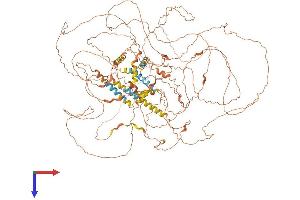 AlphaFold protein structure predicition of Human Recombinant SPATA31C2 Protein, UniprotID B4DYI2 (SPATA31C2 Protein (AA 1-1134) (His tag))