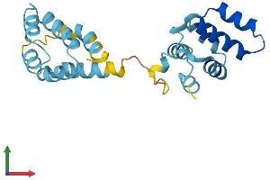 AlphaFold protein structure predicition of Human Recombinant CRADD Protein, UniprotID P78560 (CRADD Protein (AA 1-199) (His tag))