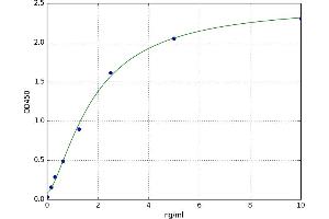 Mechanistic Target of Rapamycin (serine/threonine Kinase) (mTOR) ELISA Kit
