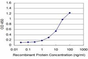 Detection limit for recombinant GST tagged LIMK1 is approximately 0. (LIM Domain Kinase 1 antibody  (AA 548-647))