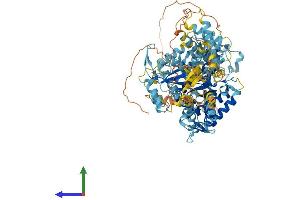 AlphaFold protein structure predicition of Human Recombinant THAP9 Protein, UniprotID Q9H5L6 (THAP9 Protein (AA 1-903) (His tag))