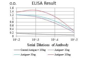 Black line: Control Antigen (100 ng), Purple line: Antigen(10 ng), Blue line: Antigen (50 ng), Red line: Antigen (100 ng), (FGF4 antibody  (AA 62-123))