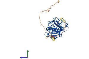AlphaFold protein structure predicition of Human Recombinant HMCES Protein, UniprotID Q96FZ2 (C3orf37 Protein (AA 1-354) (His tag))