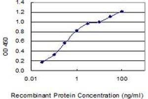 Detection limit for recombinant GST tagged LYPD3 is 0. (LYPD3 antibody  (AA 1-346))