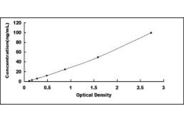 INPP4B ELISA Kit