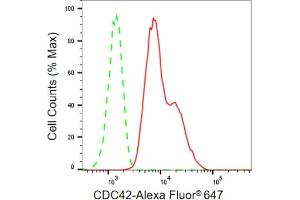Flow cytometric analysis of CDC42 expression in HepG2 cells using CDC42 antibody (ABIN7798014), 1:2,000).