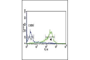 HLN1 Antibody (N-term) 9791a flow cytometric analysis of MCF-7 cells (right histogram) compared to a negative control cell (left histogram). (HAPLN1 antibody  (N-Term))