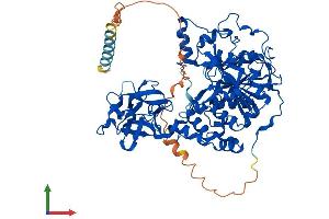 AlphaFold protein structure predicition of Human Recombinant GALNT7 Protein, UniprotID Q86SF2