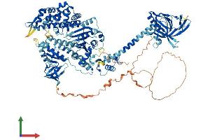 AlphaFold protein structure predicition of Mouse Recombinant Myo1f Protein, UniprotID P70248