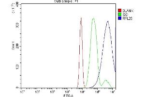 Flow Cytometry analysis of RH35 cells using anti-RPL23 antibody (ABIN7599808). (RPL23 antibody  (AA 12-136))