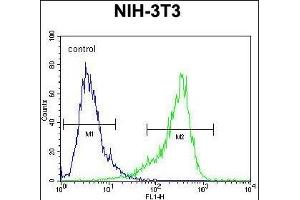 CYP26A1 Antibody (C-term) (ABIN650717 and ABIN2837925) flow cytometric analysis of NIH-3T3 cells (right histogram) compared to a negative control cell (left histogram).